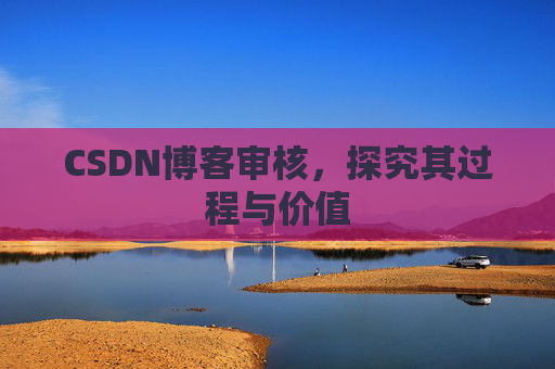 CSDN博客审核，探究其过程与价值